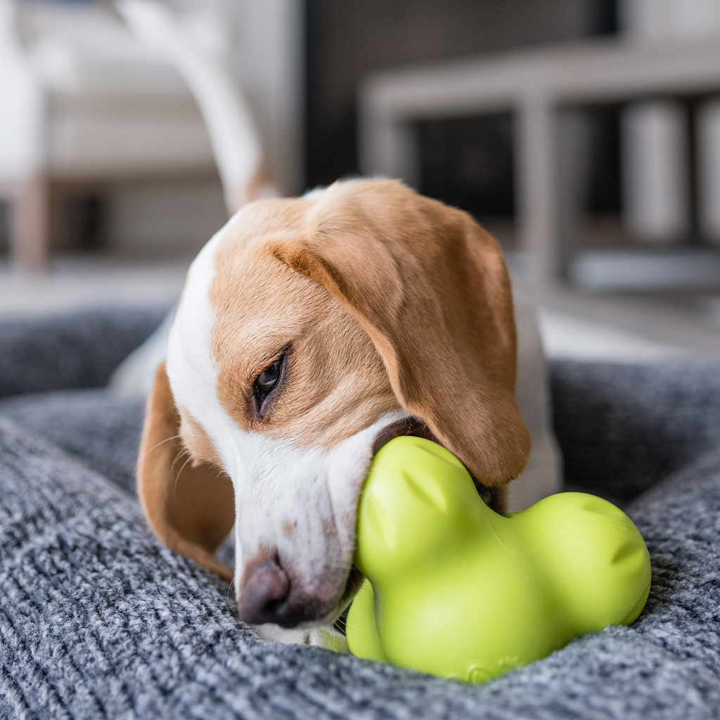 Tux Treat toy