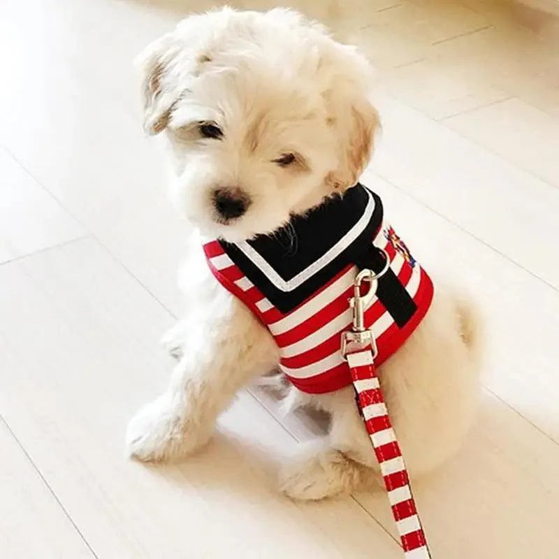 Adjustable Dog Collar Harness Leash