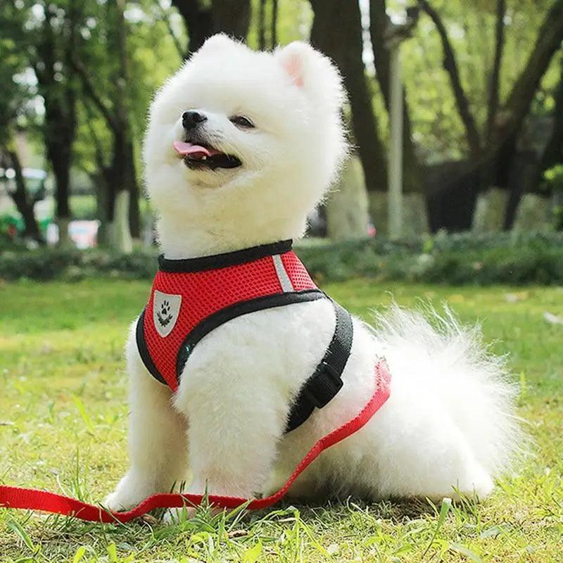 Adjustable Dog Harness No-Pull Pet Harness