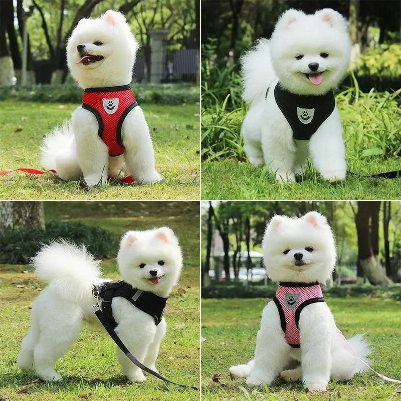Adjustable Dog Harness No-Pull Pet Harness