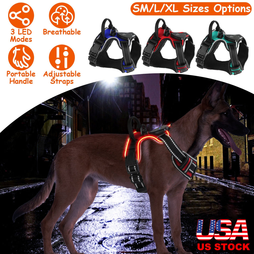 Light Up Dog Harness Rechargeable