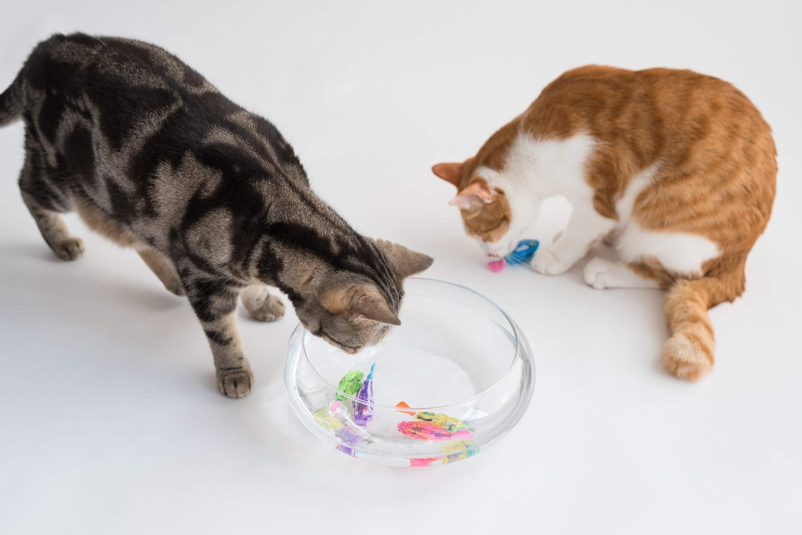 Cat Interactive Electric Fish Toy
