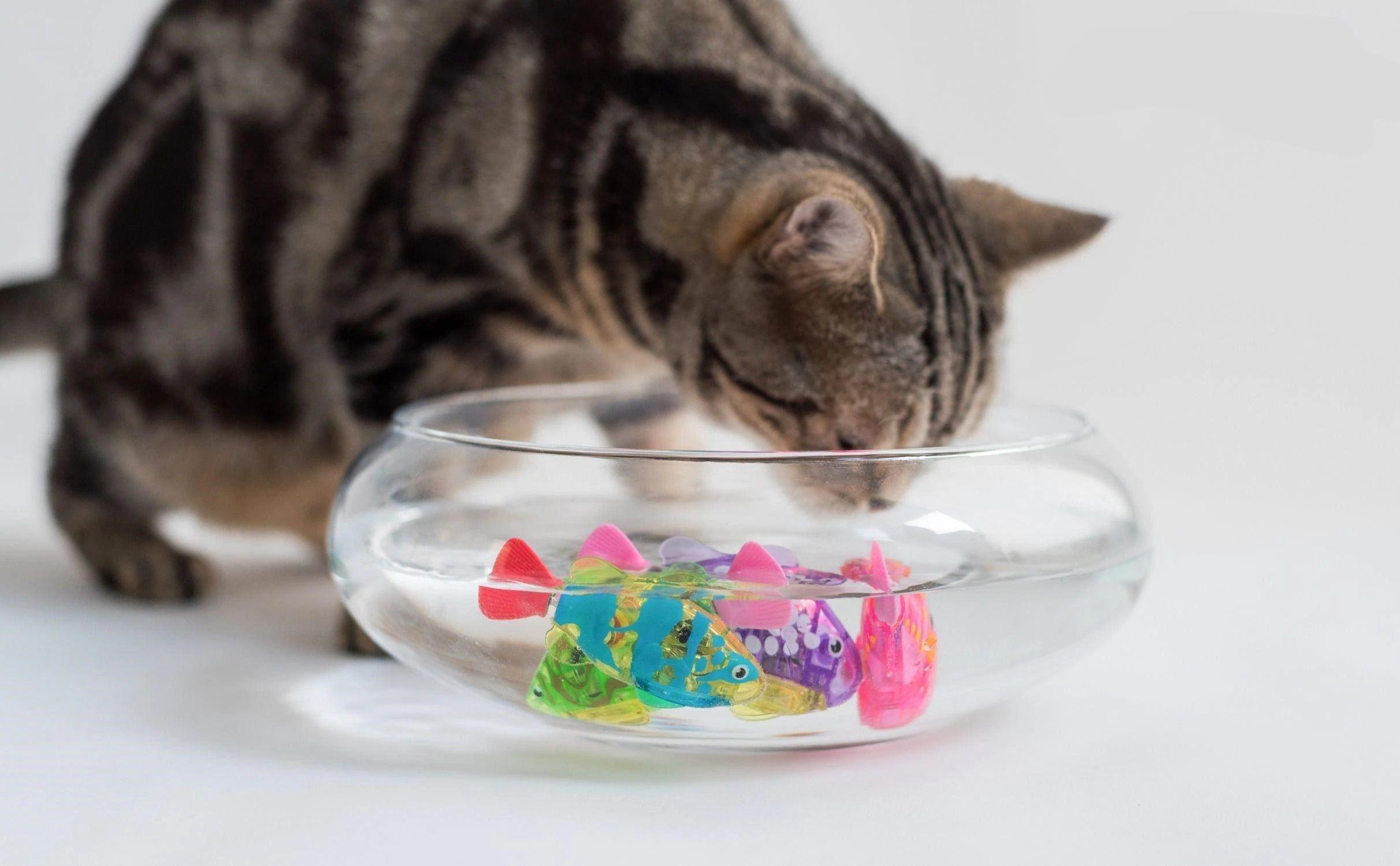 Cat Interactive Electric Fish Toy