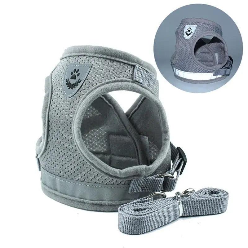 Dog Harness and Leash Set For  Small Medium Dogs