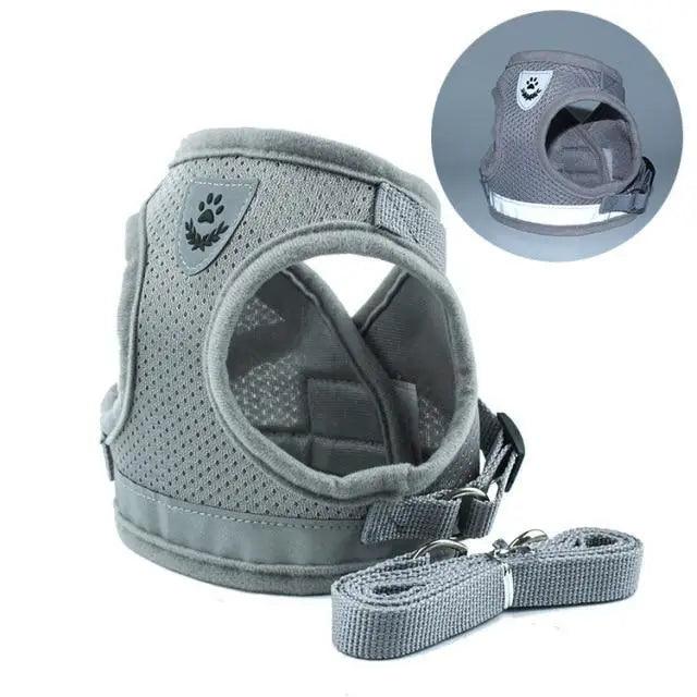 Dog Harness and Leash Set For  Small Medium Dogs