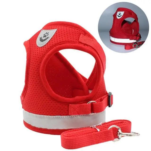Dog Harness and Leash Set For  Small Medium Dogs