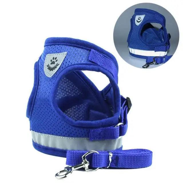 Dog Harness and Leash Set For  Small Medium Dogs