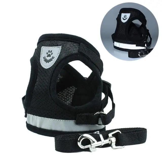 Dog Harness and Leash Set For  Small Medium Dogs