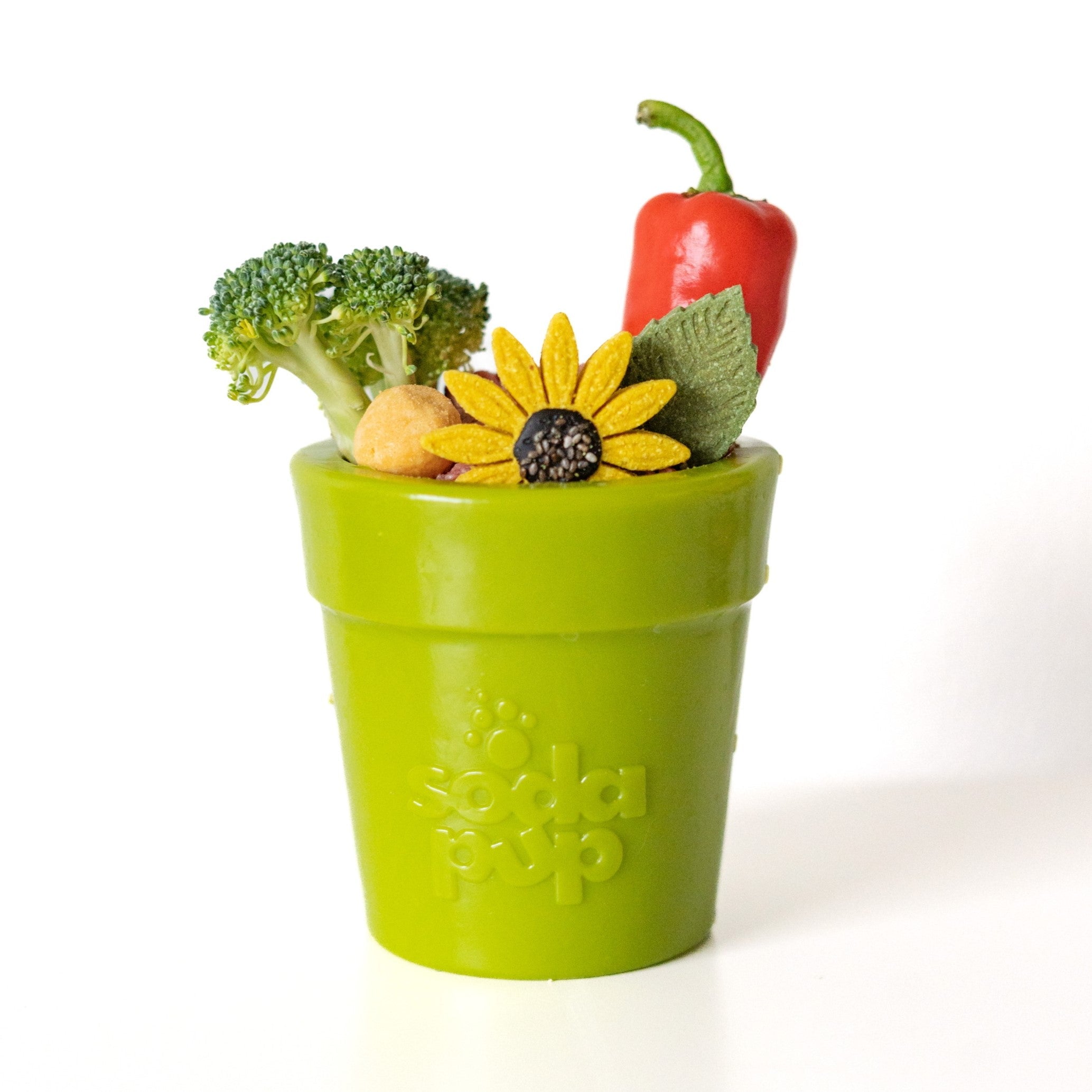 Large Flower Pot eCup Dog Treat Dispenser