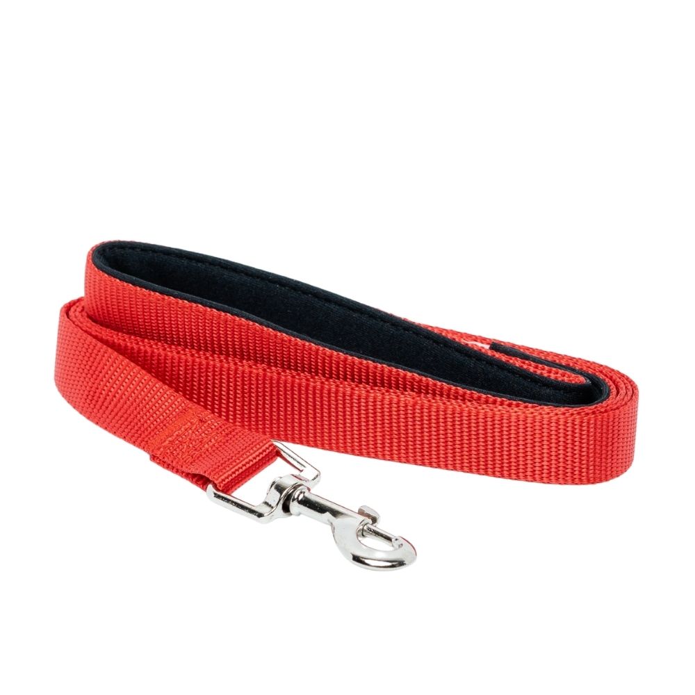 Padded Grip Dog Leash – Durable Nylon