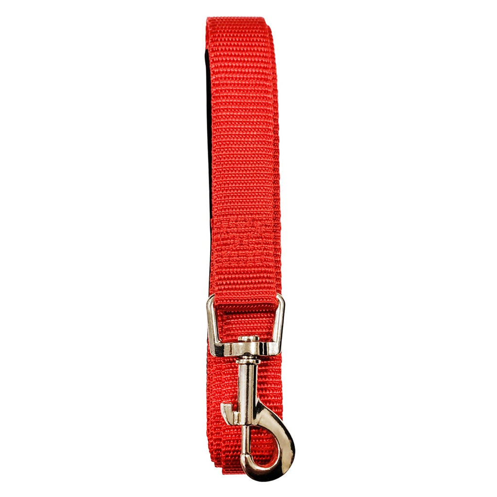 Padded Grip Dog Leash – Durable Nylon