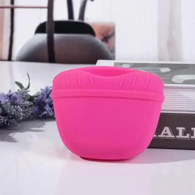 Portable Dog Training Treat Pouch