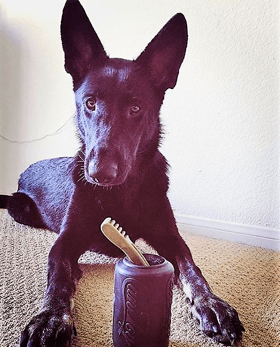 Magnum Can Toy Rubber Dog Chew