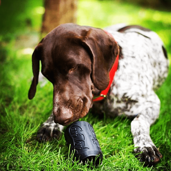 Magnum Can Toy Rubber Dog Chew