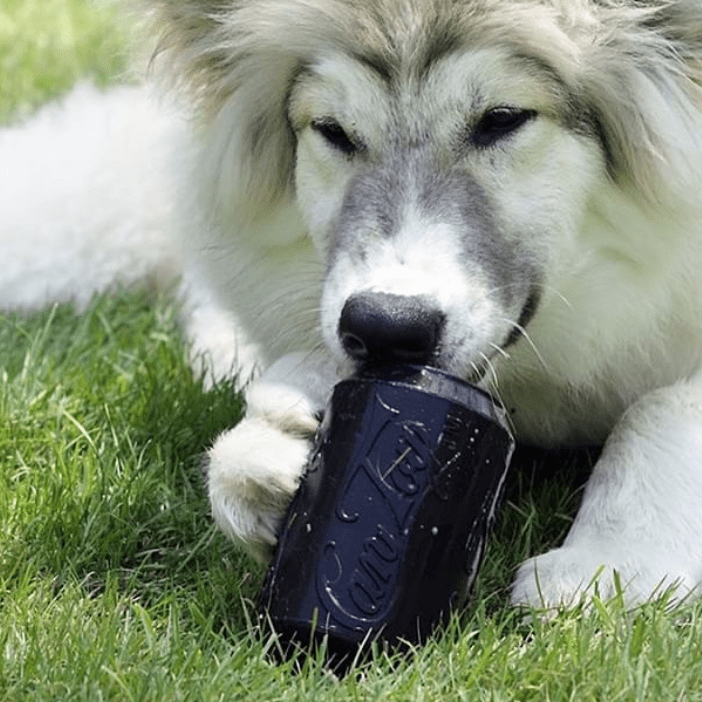 Magnum Can Toy Rubber Dog Chew