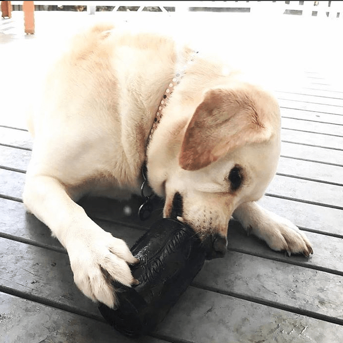 Magnum Can Toy Rubber Dog Chew