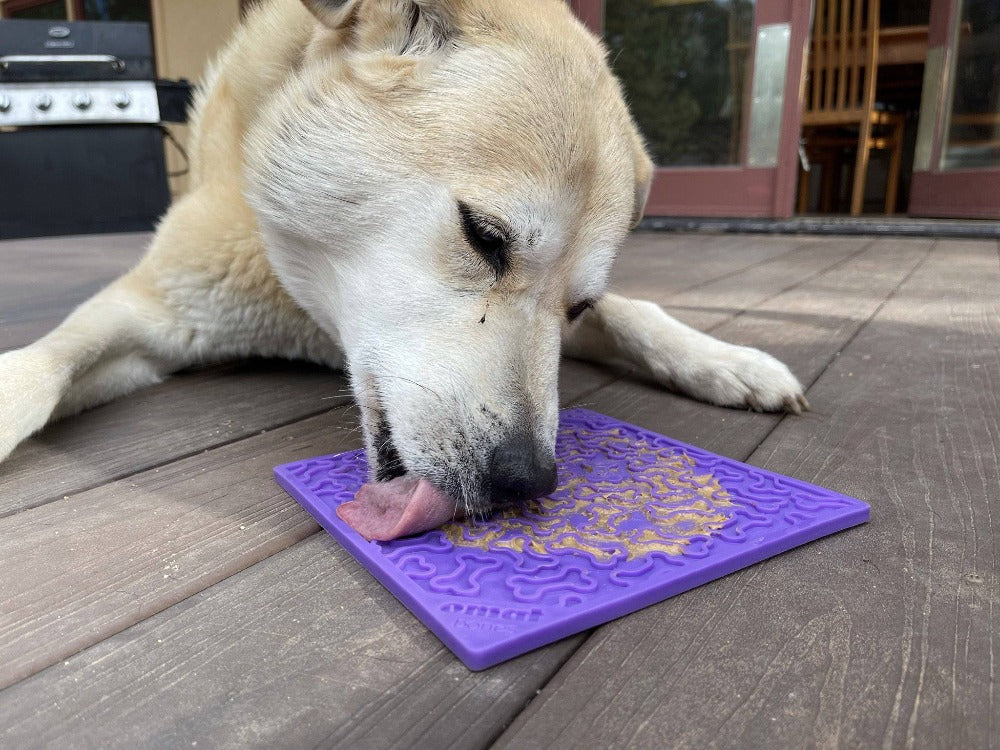 Dog lick Mat -  for Dogs and Cats